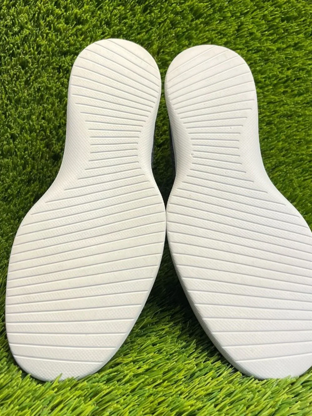allbirds please review